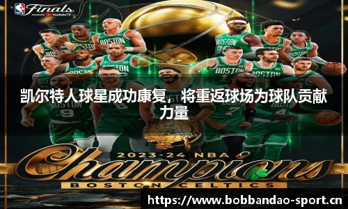 bob半岛体育官网